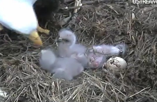 ScreenHunter_17 Mar. 31 11.27.jpg